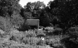 Der Garten auf der Bosel, Foto: Petzold, Dresden