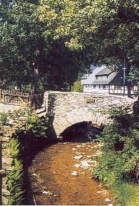 Artenreiche Mauerspaltengesellschaft am Dorfbach, die bei der Brücke nicht beseitigt, sondern als Ausgangspunkt für eine spätere Wiederbesiedlung erhalten wurde.
