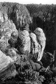 Wald-Fels-Strukturen im Rathener Gebiet