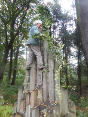 Rudolf Schröder beim Entfernen von Efeu, dessen Wurzelnin die Fugen der Basalt-Säulen hinein gewachsen waren und hier mit ihrem Dickenwachstum die Standfestigkeit der Säulen gefährden