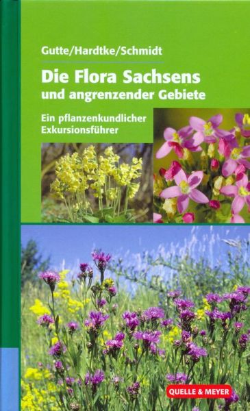 Die Flora Sachsens und angrenzender Gebiete - Ein pflanzenkundlicher Exkursionsführer