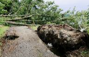 Sturmschäden an den Ullersdorfer Teichen (Landkreis Görlitz)