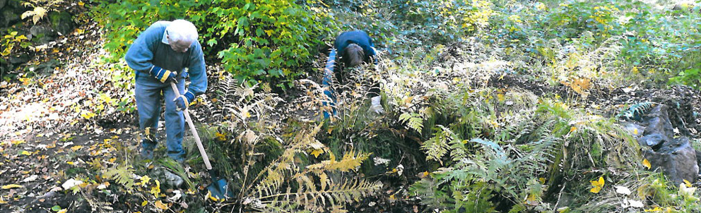 Zwei Teilnehmer des Parkseminars helfen den ursprünglichen Zustand des Parks zu erhalten