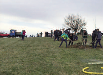 Zur Optimierung der Bewässerung wurde Drainrohr als Schlaufe im Pflanzloch verlegt, Foto: Beschäftigungsgesellschaft Pirna e.V. 