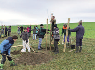 Pflanzstation – drei Schüler und ein Erwachsener zur Anleitung, Foto: Beschäftigungsgesellschaft Pirna e.V.