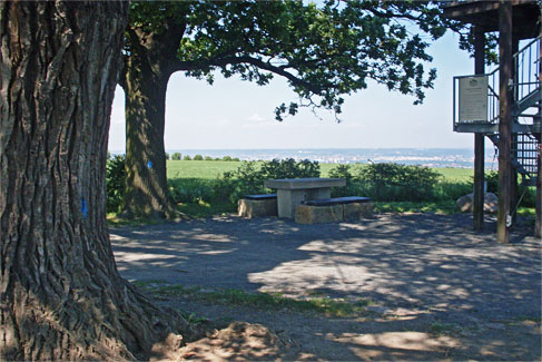 Der steinerne Tisch unter der Bismarck-Eiche, im Vordergrund der Pappelstamm. Foto: Veronica Teicher