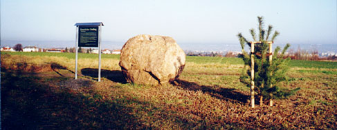 Eiszeitlicher Findling, Bild: Veronica Teicher