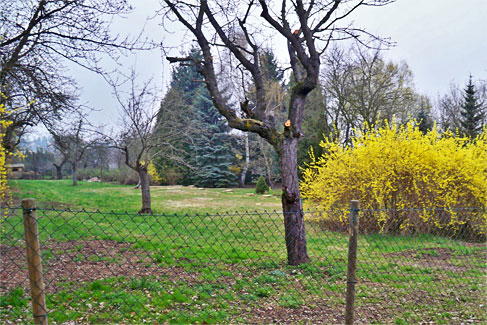 Zustand April 2012, Foto: Veronica Teicher