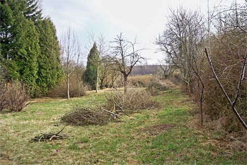 Zustand März 2012, Foto: Veronica Teicher